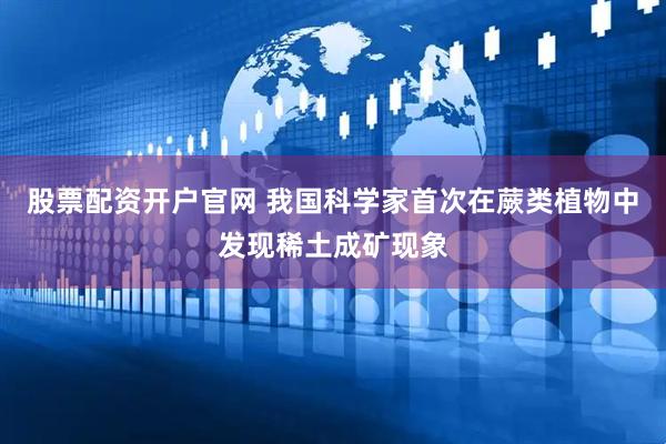 股票配资开户官网 我国科学家首次在蕨类植物中发现稀土成矿现象