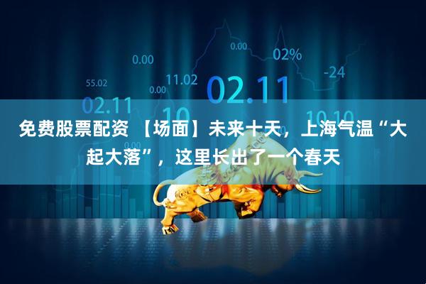 免费股票配资 【场面】未来十天，上海气温“大起大落”，这里长出了一个春天