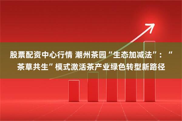 股票配资中心行情 潮州茶园“生态加减法”：“茶草共生”模式激活茶产业绿色转型新路径