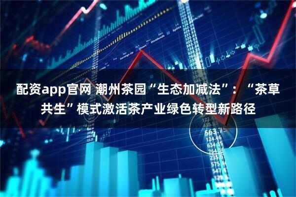配资app官网 潮州茶园“生态加减法”：“茶草共生”模式激活茶产业绿色转型新路径