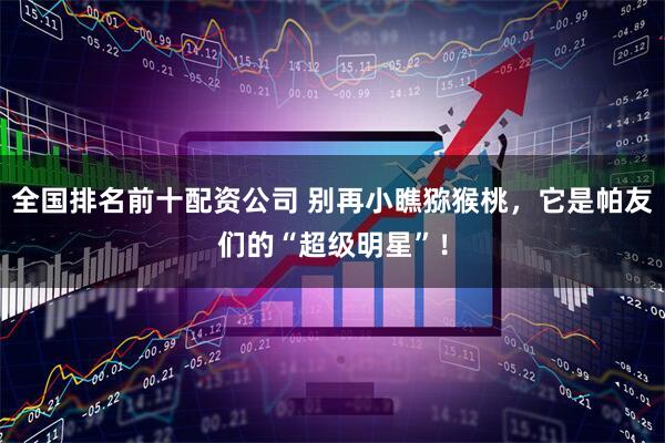 全国排名前十配资公司 别再小瞧猕猴桃，它是帕友们的“超级明星”！
