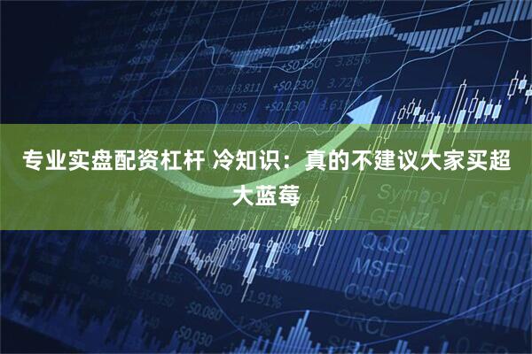 专业实盘配资杠杆 冷知识：真的不建议大家买超大蓝莓