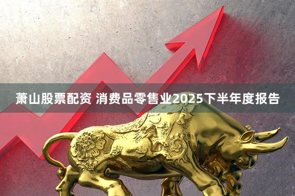 萧山股票配资 消费品零售业2025下半年度报告
